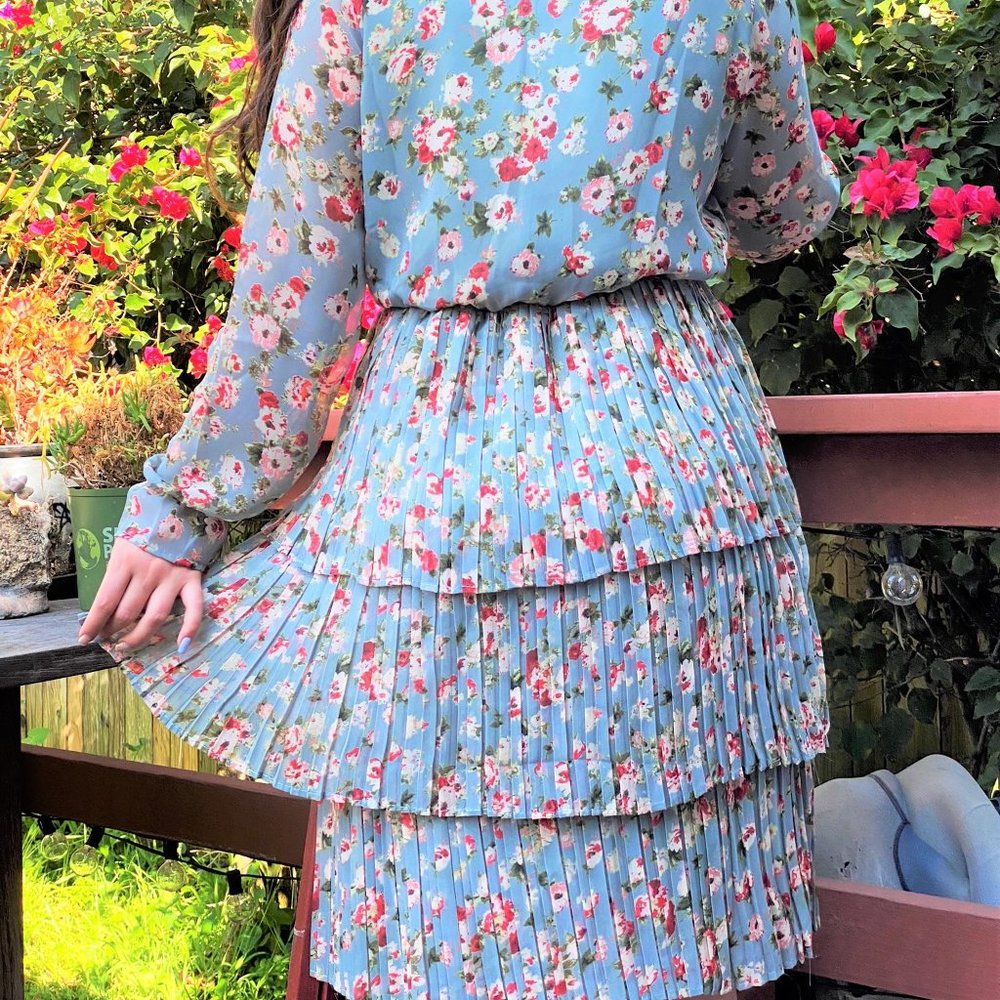 😍 Maison De Robes 𝓗𝓪𝓷𝓷𝓪𝓱 Dress - Picture 5 of 6